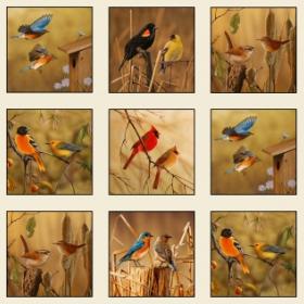 Fabric Categories > Novelty > Birds - Old Country Store Fabrics